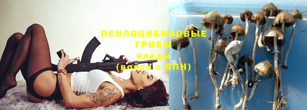 мескалин Приозерск