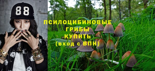гидра Пролетарск