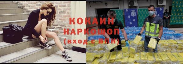 индика Протвино