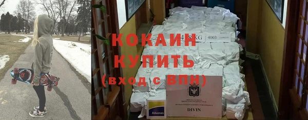 индика Протвино