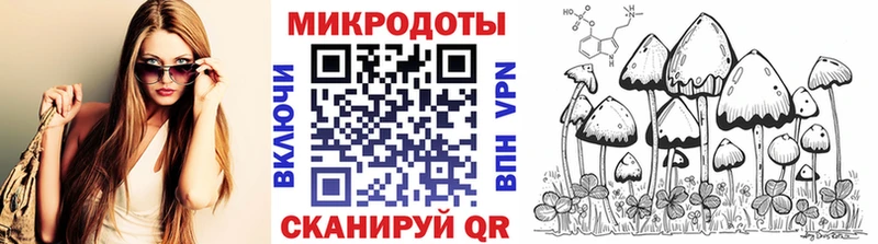 Галлюциногенные грибы Cubensis  Серафимович 